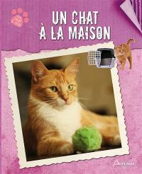 Un chat à la maison