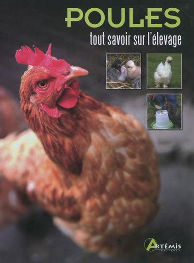 Poules : tout savoir sur l'élevage