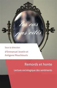 Remords et honte : lecture sociologique des sentiments