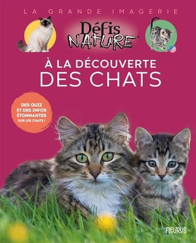 A la découverte des chats : des quiz et des infos étonnantes sur les chats !