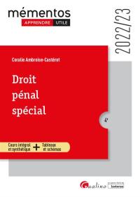 Droit pénal spécial : 2022-2023