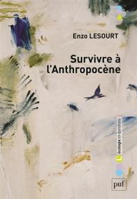 Survivre à l'anthropocène : par-delà guerre civile et effondrement