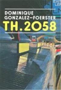 Dominique Gonzalez Foerster TH 2058