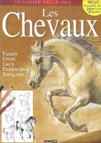 Les chevaux : fusain, encre, lavis, pastels secs, sanguine...