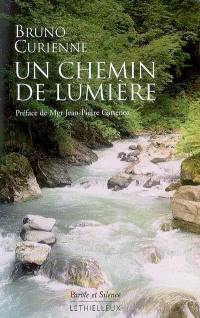 Un chemin de lumière : petite introduction à la vie mystique chrétienne