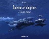 Baleines et dauphins à l'île de la Réunion