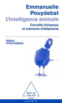 L'intelligence animale : cervelle d'oiseaux et mémoire d'éléphants