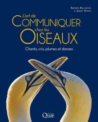 L'art de communiquer chez les oiseaux : chants, cris, plumes et danses