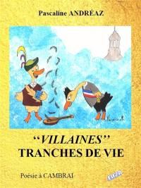 Villaines tranches de vie : poésie cambrésienne