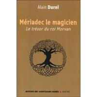 Mériadec le magicien : le trésor du roi Morvan