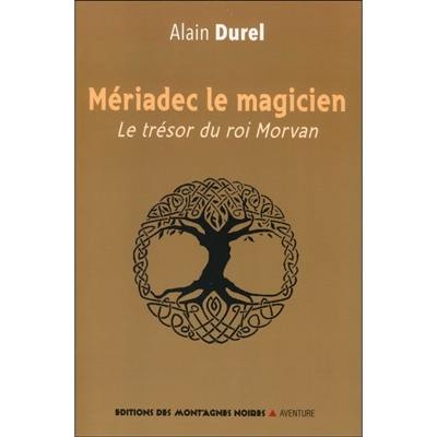 Mériadec le magicien : le trésor du roi Morvan