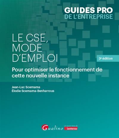 Le CSE, mode d'emploi : pour optimiser le fonctionnement de cette nouvelle instance