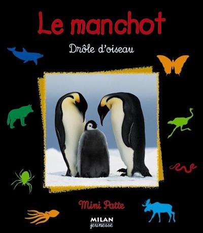 Le manchot : drôle d'oiseau