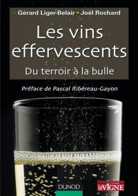 Les vins effervescents : du terroir à la bulle