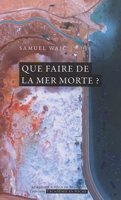 Que faire de la mer Morte ?