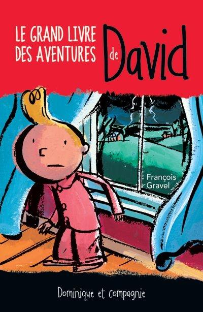 Le grand livre des aventures de David 1