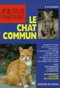 Le chat commun