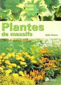 Plantes de massifs