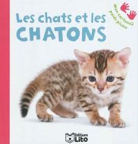 Les chats et les chatons