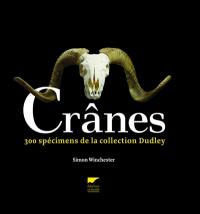 Crânes : 300 spécimens de la collection Dudley