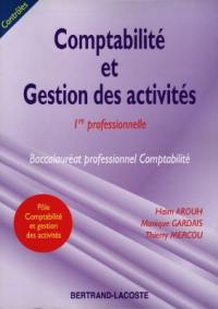 Comptabilité et gestion des activités, contrôles : 1re professionnelle, baccalauréat professionnel comptabilité