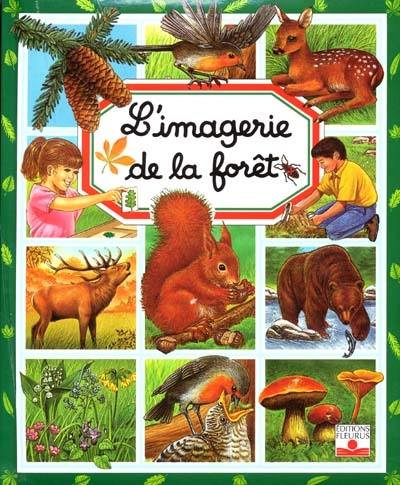 L'imagerie de la forêt