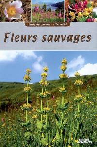 Fleurs sauvages