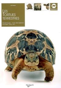 Les tortues terrestres