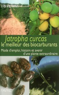 Jatropha curcas : le meilleur des biocarburants