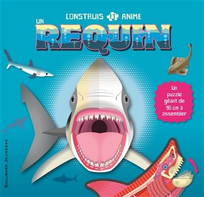 Construis et anime un requin