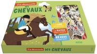 A la découverte des chevaux