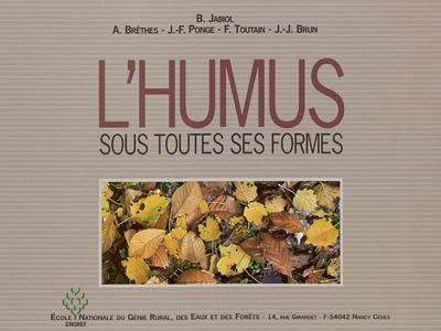 L'humus sous toutes ses formes