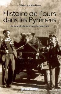 Histoire de l'ours dans les Pyrénées : de la préhistoire à la réintroduction