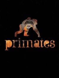 Primates