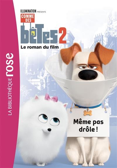 Comme des bêtes 2 : le roman du film : même pas drôle !