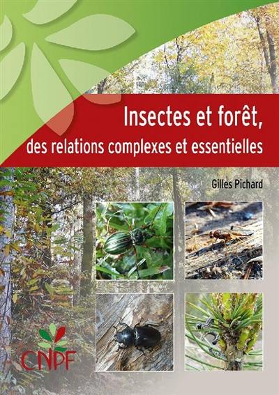 Insectes et forêt : des relations complexes et essentielles