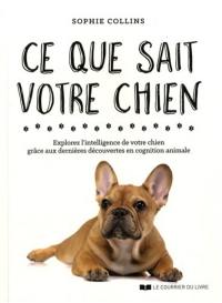 Ce que sait votre chien : explorez l'intelligence de votre chien grâce aux dernières découvertes en cognition animale