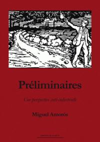 Préliminaires : une perspective anti-industrielle