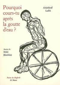 Pourquoi cours-tu après la goutte d'eau ? : prosoèmes