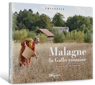 Malagne la Gallo-Romaine : une villa de 2.000 ans à Rochefort