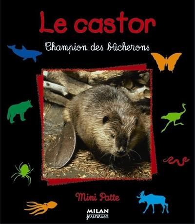 Le castor : champion des bûcherons