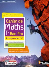 Cahier de maths terminale bac pro groupement C : nouveau programme : réforme de la voie professionnelle