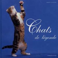 Chats de légende