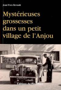 Mystérieuses grossesses dans un petit village de l'Anjou : le premier polar sans morts... ce serait même plutôt l'inverse !