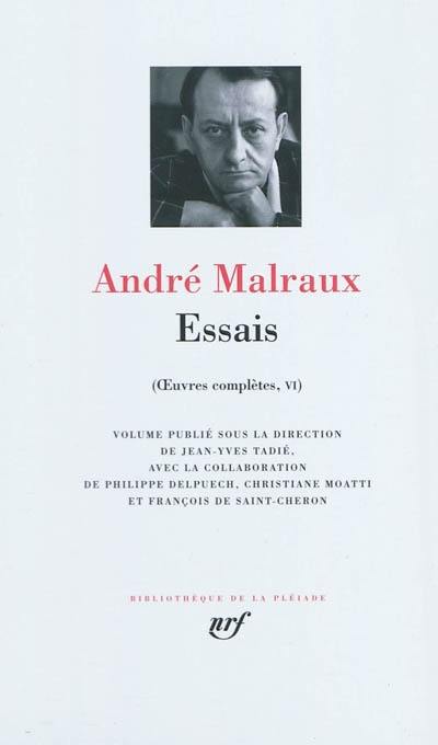 Oeuvres complètes. Vol. 6. Essais