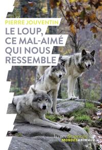 Le loup, ce mal-aimé qui nous ressemble