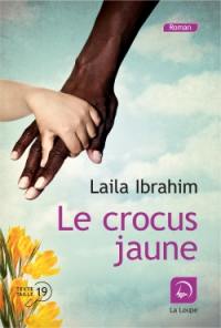 Le crocus jaune