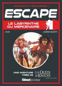 Le labyrinthe du mercenaire : une aventure tirée de La quête d'Ewilan