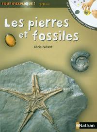 Les pierres et les fossiles