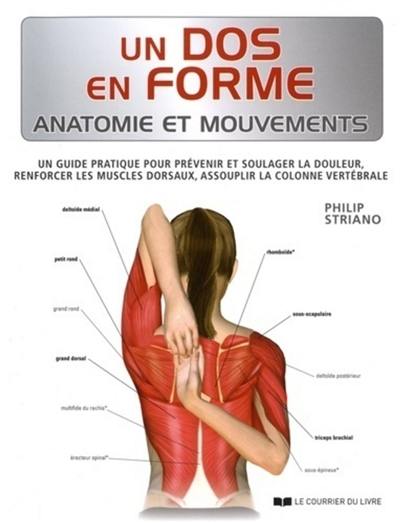 Un dos en forme : anatomie et mouvements